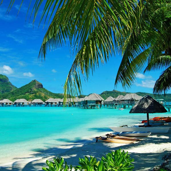 Le Seychelles - Image 5